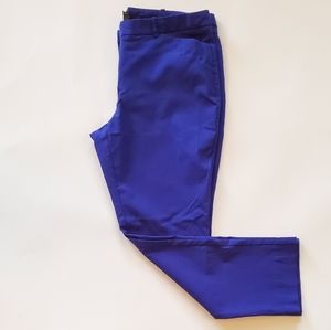 Cobalt Blue Dress Pants